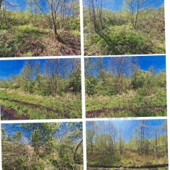 Syndyk masy upadłości Barbary Szczęsnej sprzeda udział w nieruchomości