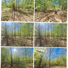 Syndyk masy upadłości Barbary Szczęsnej sprzeda udział w nieruchomości