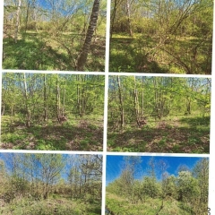 Syndyk masy upadłości Barbary Szczęsnej sprzeda udział w nieruchomości